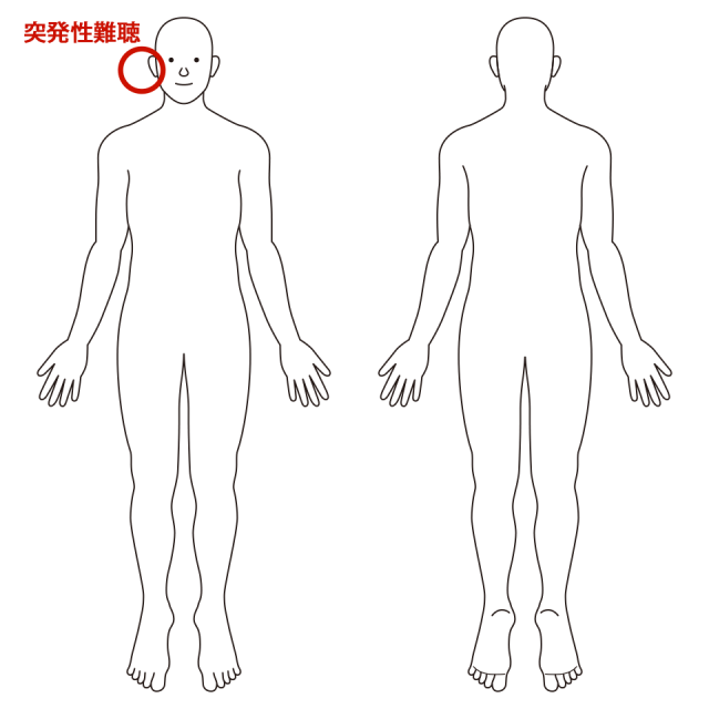 右耳